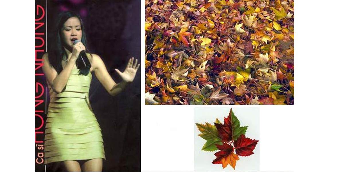 Bai tap photoshop so 19 bat dau