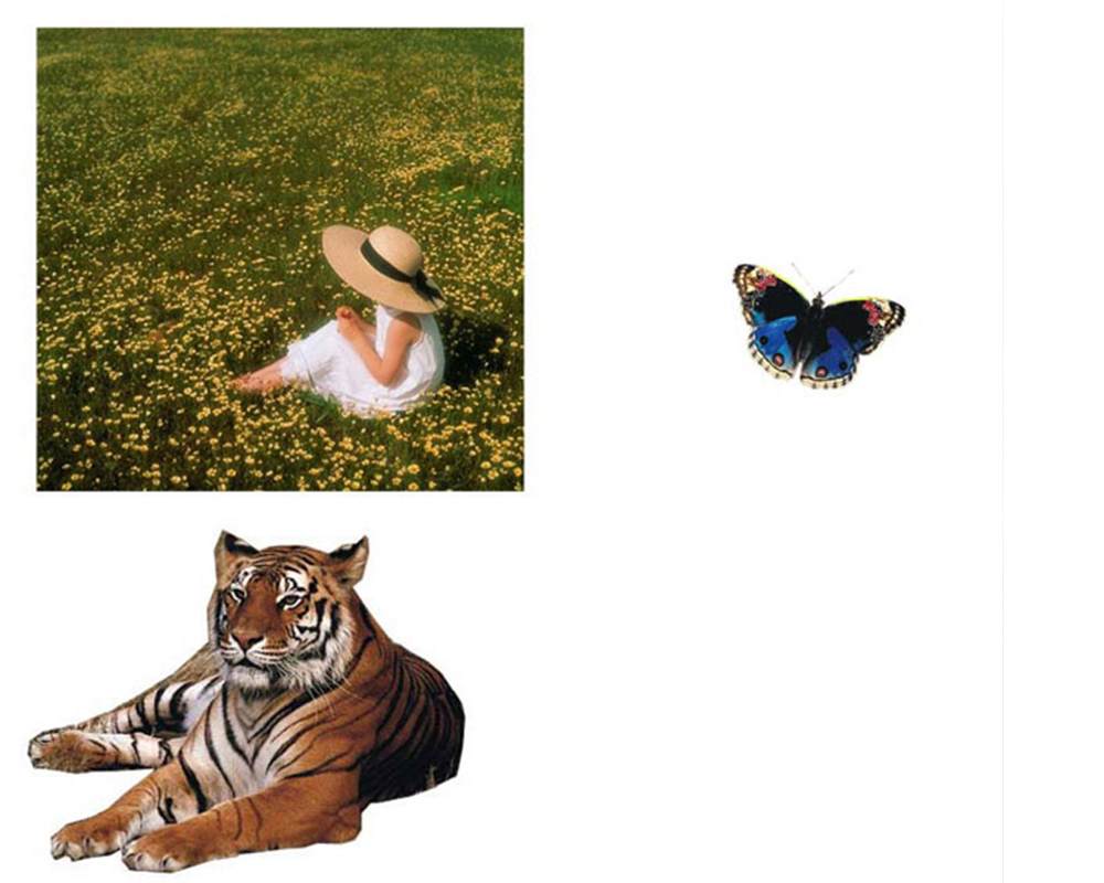 Bài tập photoshop số 5 bắt đầu