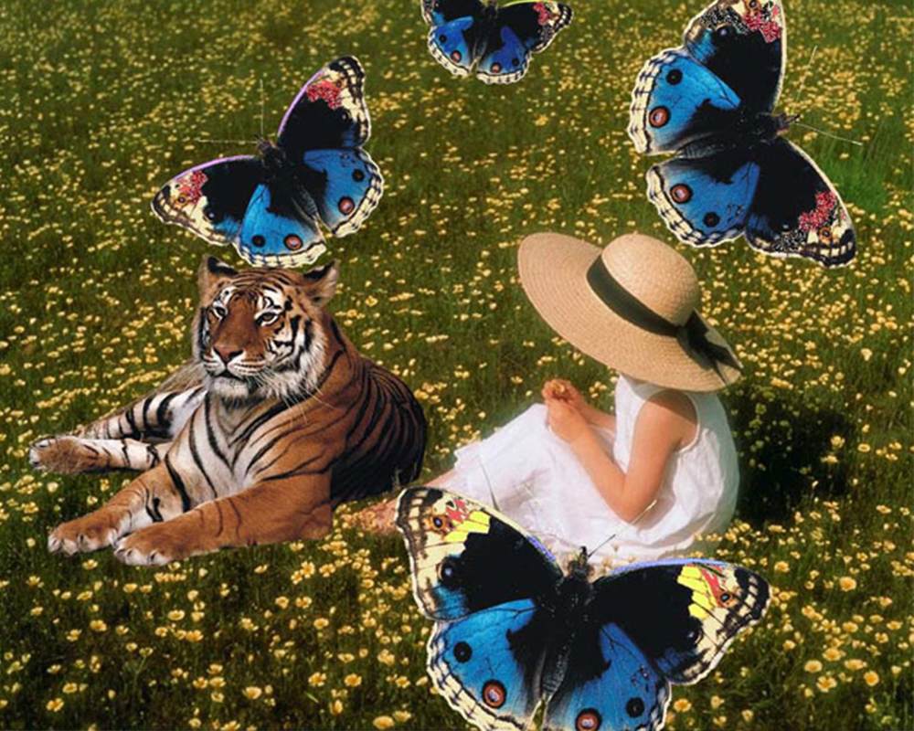 Bài tập photoshop số kết thúc