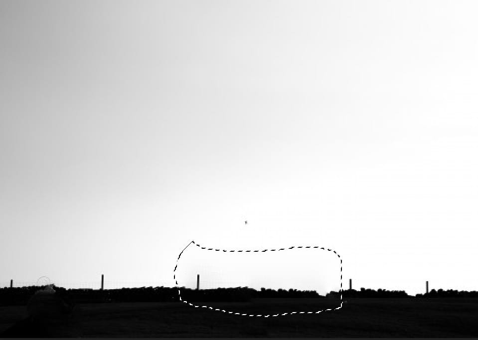 chọn 100 phần trăm