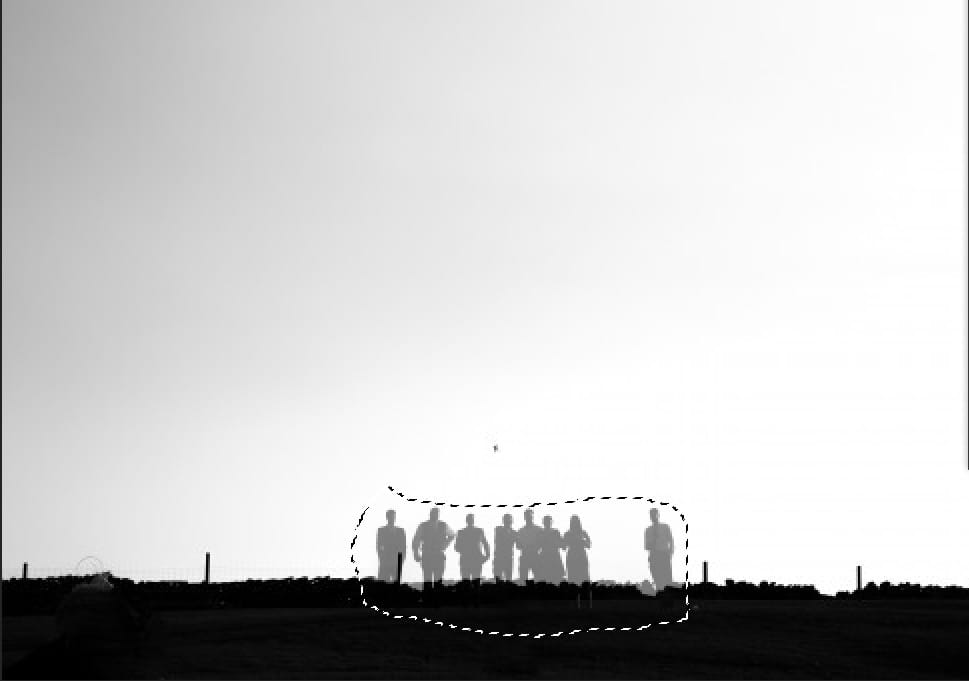 chọn 50 phần trăm